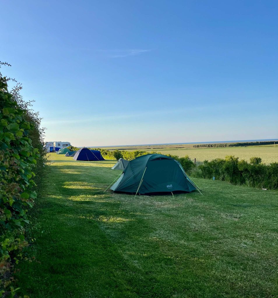 Tents on field at Beal Farm Campsite